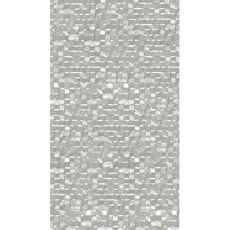 Cubica Gris 25x44.3