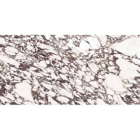 Viola Rosse Silk 150x300