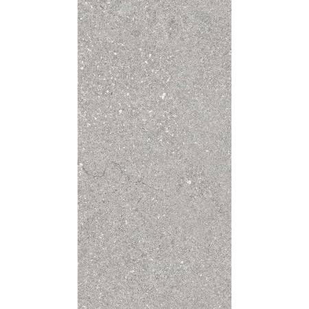 Petra Silver 29.7x59.6
