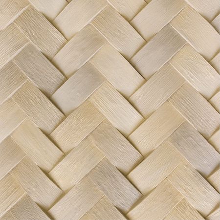 Panel Fw Palm Caribbean V. 118,3x253,2