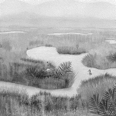 Skins Murals Lagoon Black 280x416
