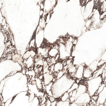 Viola Rosse Polished 120x120 Viola Rosse Polished 120x120