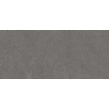 Liem Grey Polished 120x270