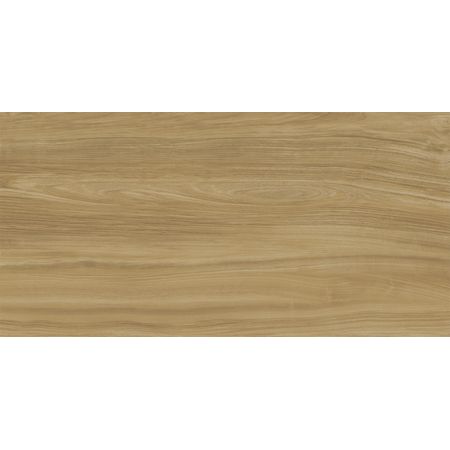 Ewood Camel Nature 160x320