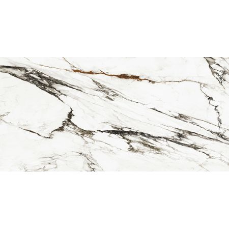 Paonazzo Biondo Polished 160x320