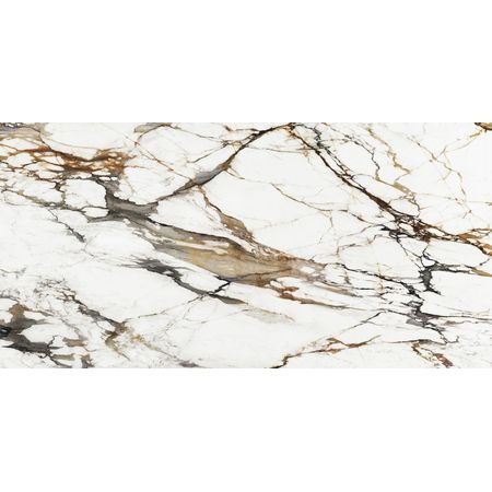 Paonazzo Biondo Polished A 160x320