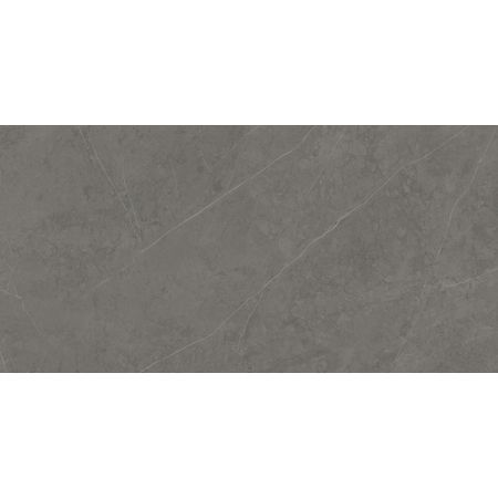 Liem Grey Polished 59,6x120