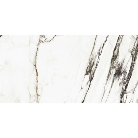 Paonazzo Biondo Silk 59,6x120