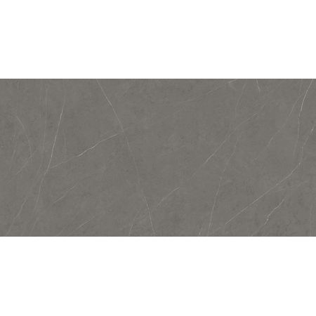 Liem Grey Polished 02 Sr 160x320