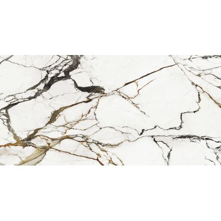 Paonazzo Biondo Polished 01 Sr 160x320