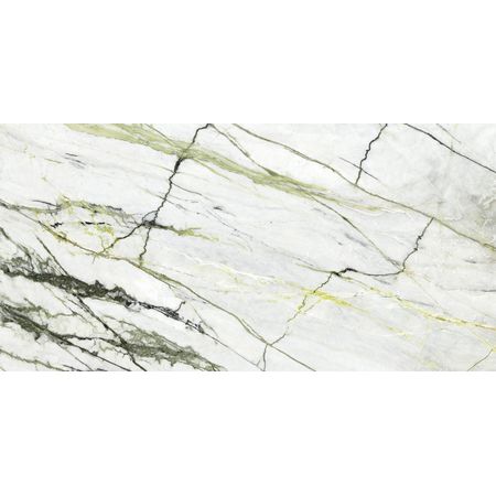 Calacatta Green Polished 02 Sr 160x320