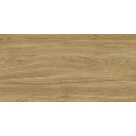 Ewood Camel Nature 01 Sr 160x320