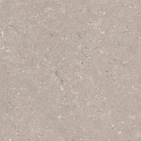 Coral Topo L 44,3x44,3 Coral Topo L 44,3x44,3