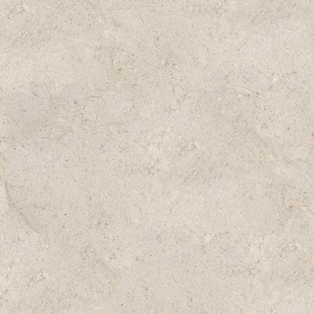Dorcia Bone Ant. L 120x120 Dorcia Bone Ant. L 120x120