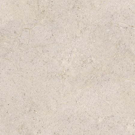 Dorcia Bone L C-2 80x80 Dorcia Bone L C-2 80x80