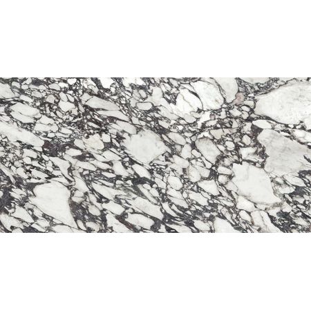 Calacatta Viola Polished 160x320 Calacatta Viola Polished 160x320