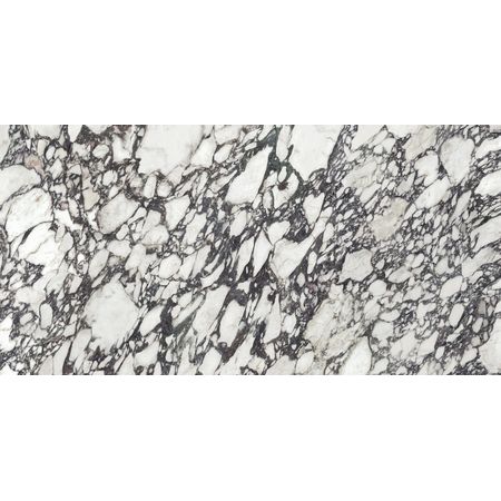 Calacatta Viola Polished 01 Srm 160x320 Calacatta Viola Polished 01 Srm 160x320