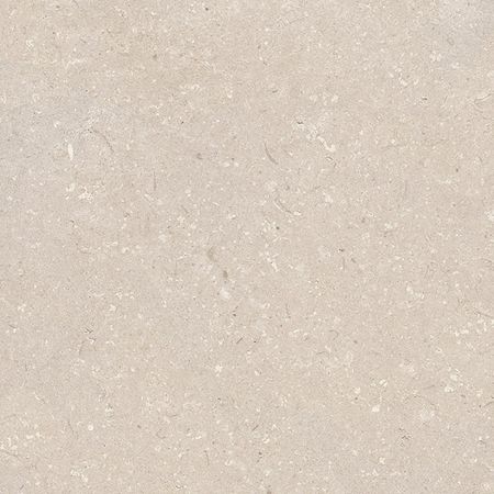 Coral Caliza L 59,6x59,6 Coral Caliza L 59,6x59,6