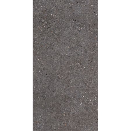 Matika Topo L C-2 50x100 Matika Topo L C-2 50x100