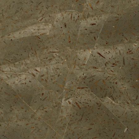 Tabla Jurassic Brushed 2