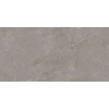 Sion Grey Polished 60x120 Sion Grey Polished 60x120