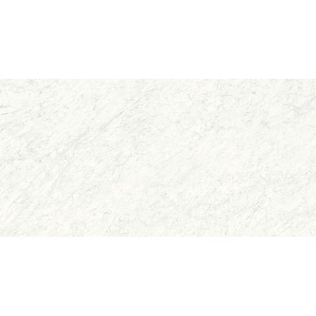 Xlight Carrara White Silk 150x300