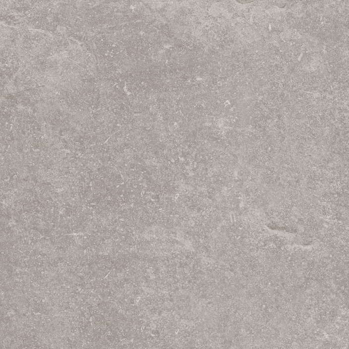 Керамогранит Verbier Silver Ant. 59,6x59,6