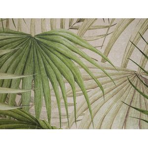 Skins Murals Palm Spring 280x390