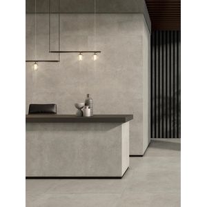 P. Alluslate Peak Acero Matt 120x260