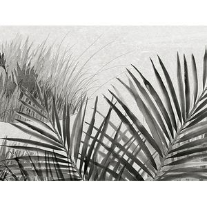 Skins Murals Lagoon Black 280x416