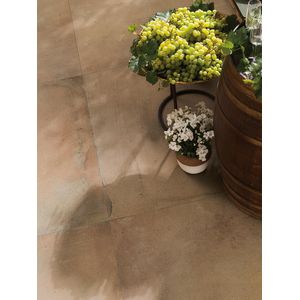 Cotto Colonial L 59,6x59,6