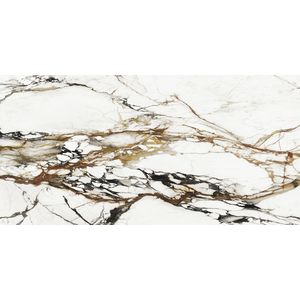 Paonazzo Biondo Polished 160x320