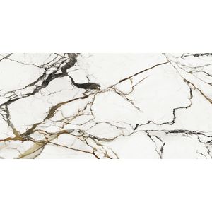 Paonazzo Biondo Polished 160x320