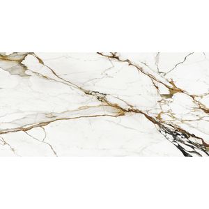 Paonazzo Biondo Polished 160x320