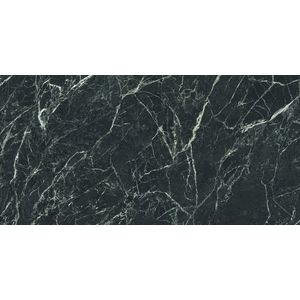Alpi Verde Polished 160x320