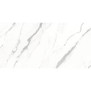 Aria White Polished 160x320