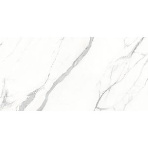 Aria White Polished 160x320