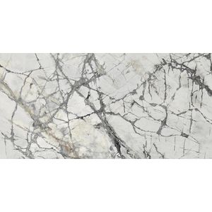 Invisible White Polished 160x320