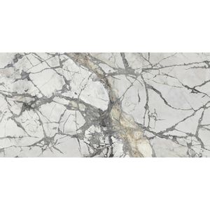 Invisible White Polished 160x320