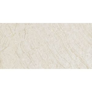 Taj Mahal Polished 160x320