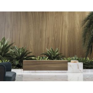 Calacatta Gold Nature 160x320