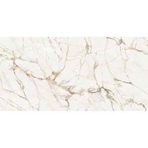 Calacatta Gold Polished 160x320
