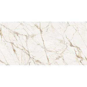 Calacatta Gold Polished 160x320