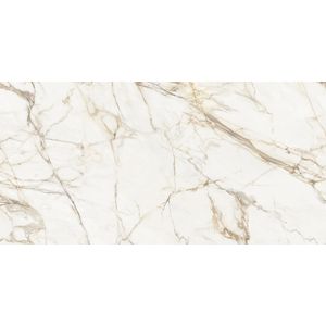 Calacatta Gold Polished 160x320