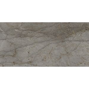 Astana Grey Polished 160x320