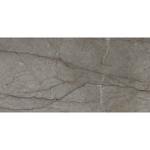 Astana Grey Polished 160x320