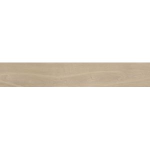 Gent Arce 29,4x180