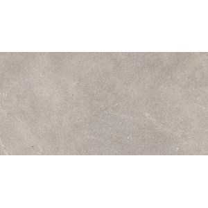 Savannah Topo 59,6x120