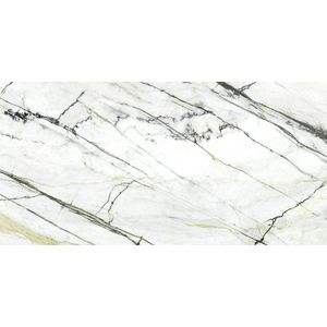 Calacatta Green Silk 160x320