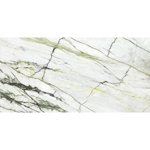Calacatta Green Silk 160x320